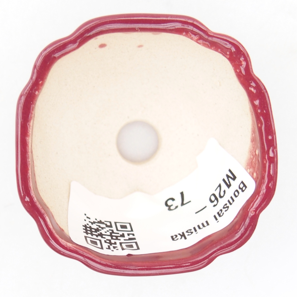 Cuenco mini bonsái 4,5 x 4,5 x 2,5 cm, burdeos