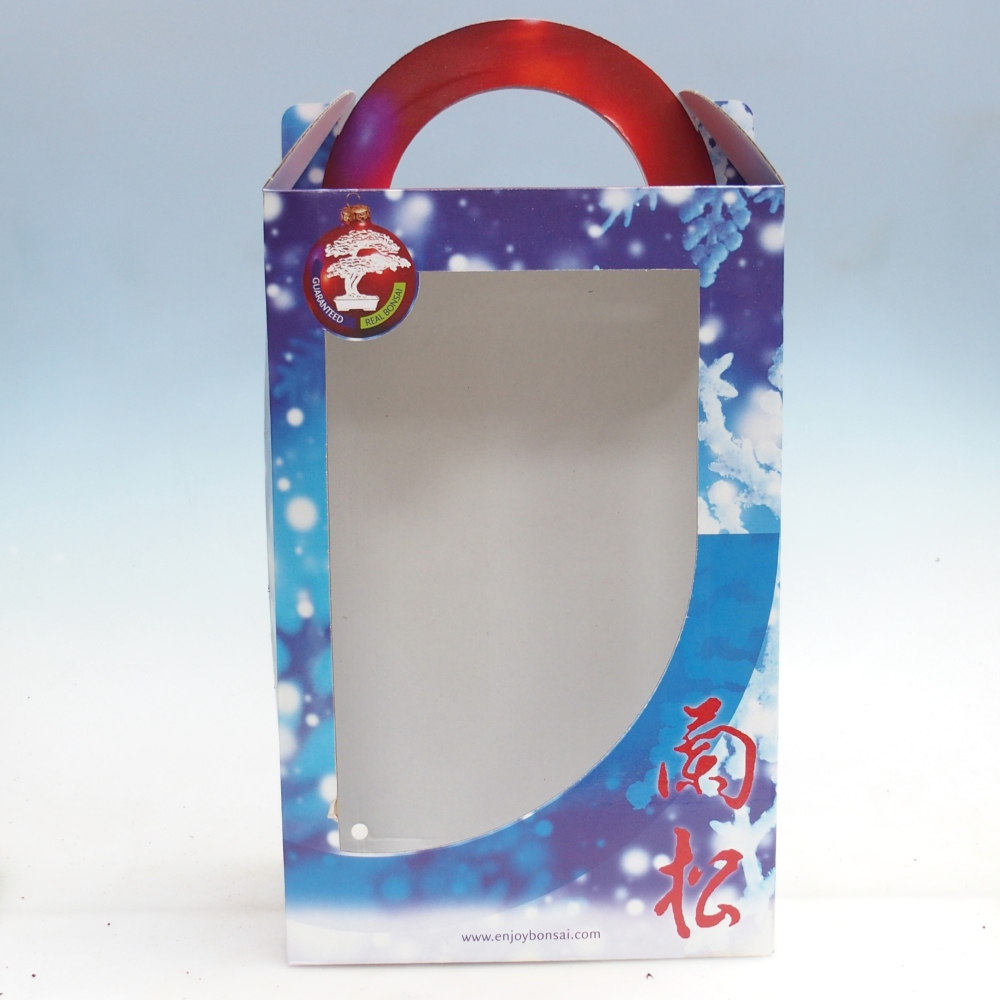 Caja regalo bonsái - papel