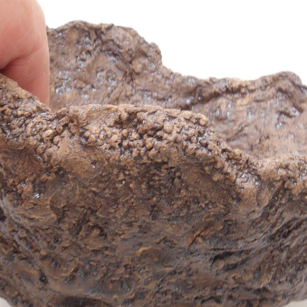 Concha de cerámica 13 x 11 x 12 cm , color marrón