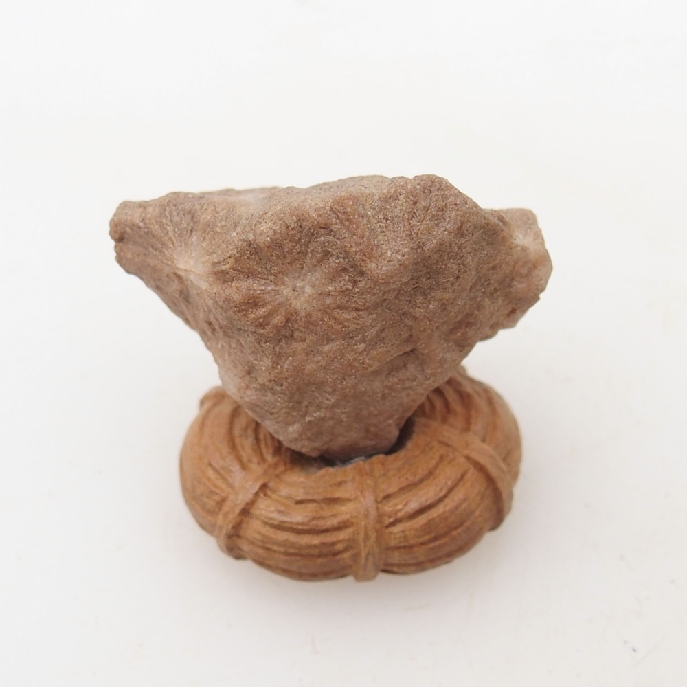 Suiseki - Piedra con DAI (base de madera)