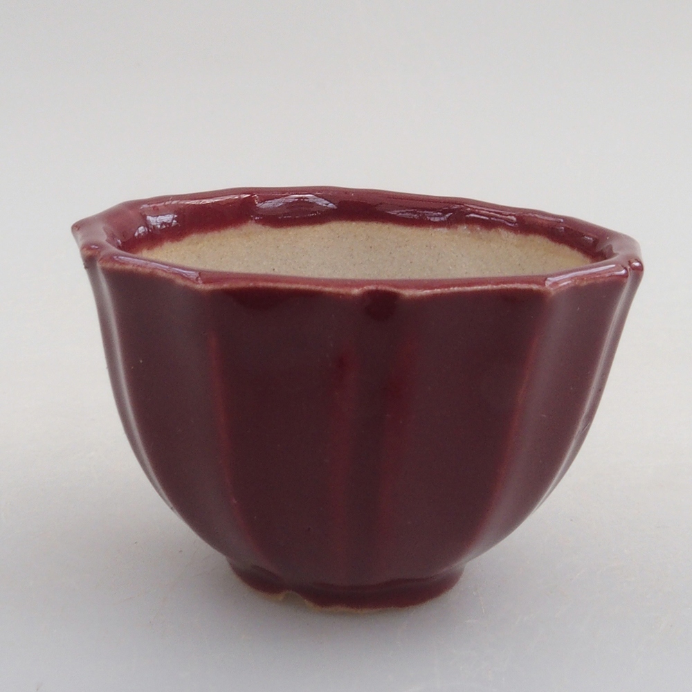 Mini cuenco bonsái 5 x 5 x 3 cm, burdeos