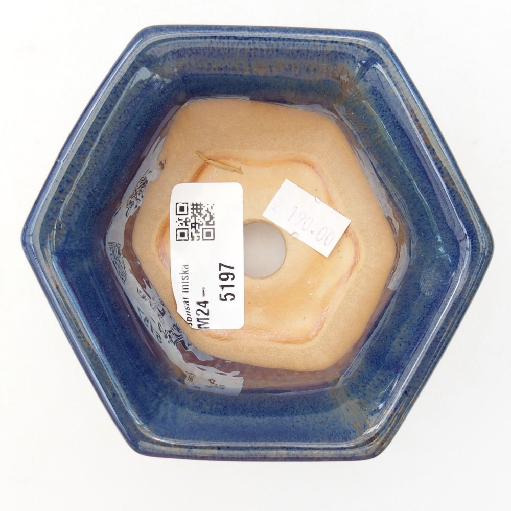 Cuenco bonsái de cerámica 10,5 x 9,5 x 5,5 cm, color azul