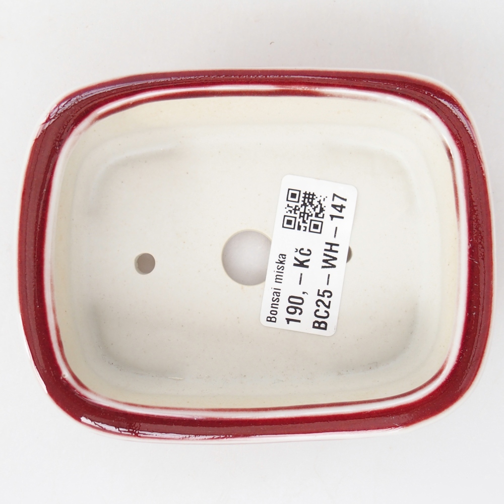Cuenco bonsái de cerámica 11 x 8,5 x 3,5 cm, color rojo