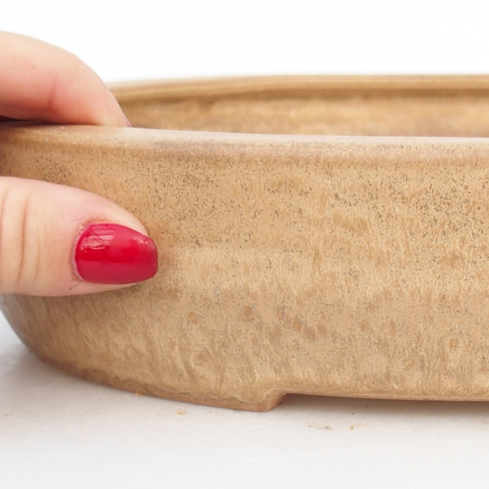 Cuenco bonsái de cerámica 27 x 21 x 5 cm, color beige