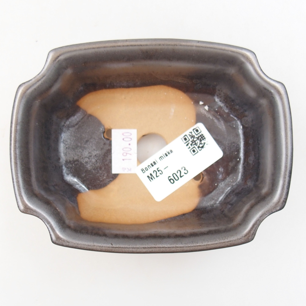 Cuenco bonsái de cerámica 22 x 17 x 5 cm, verde