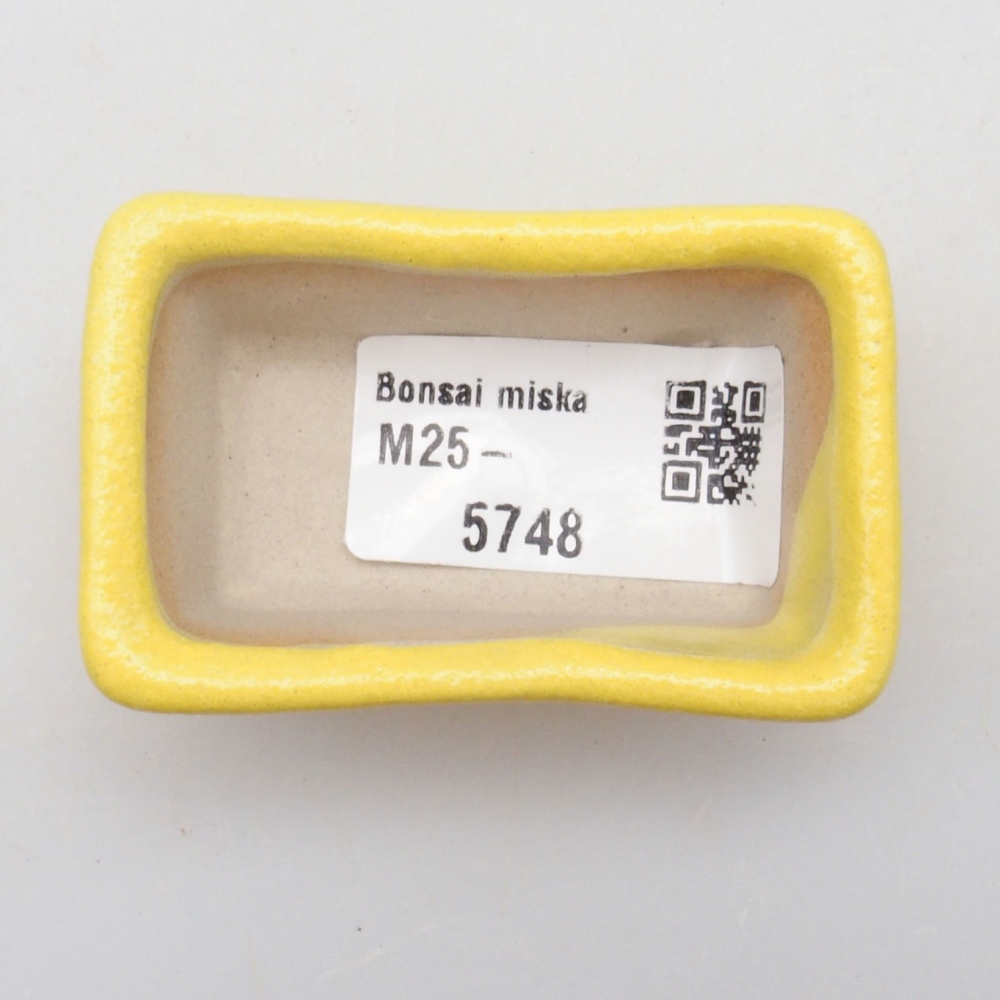 Cuenco bonsái de cerámica 6 x 3,5 x 2,5 cm, amarillo
