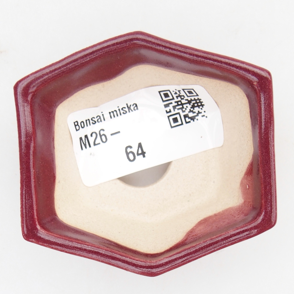 Cuenco mini bonsái 6 x 5,5 x 2,5 cm, burdeos