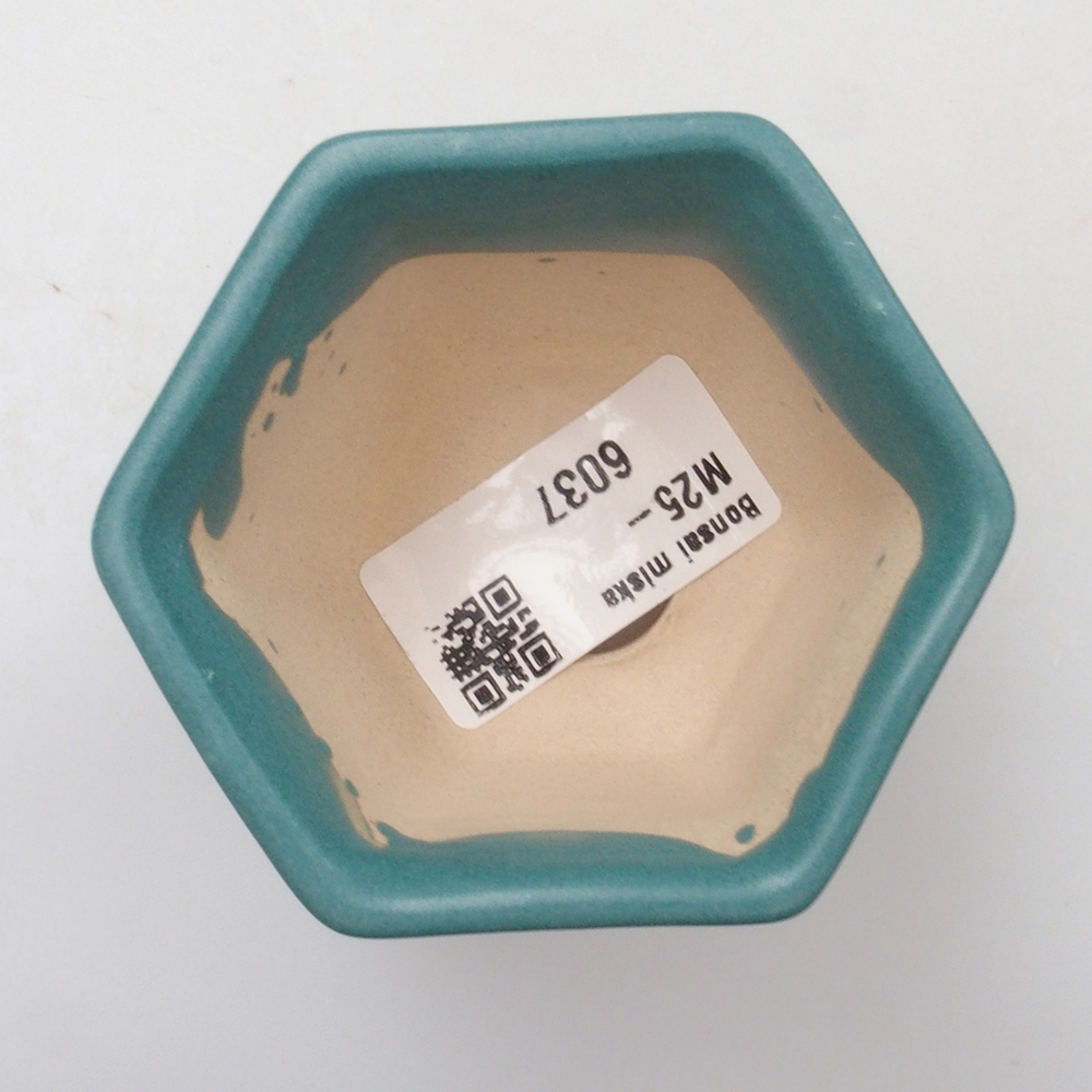 Cuenco bonsái de cerámica 6,5 x 5,5 x 4 cm, color azul