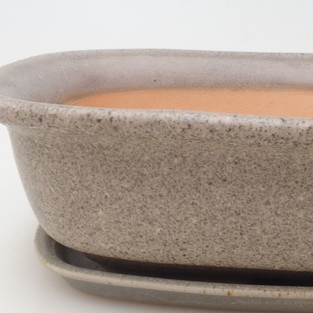 Cuenco bonsái + platillo H08 - 25 x 19,5 x 6 cm - beige