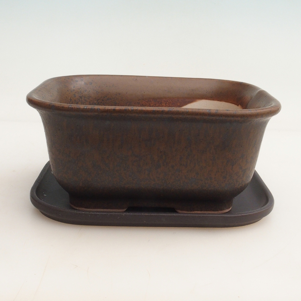 Cuenco bonsái + platillo H36 - 17 x 15 x 7,5 cm - marrón