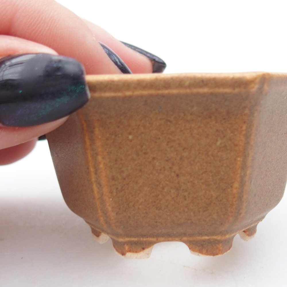 Cuenco mini bonsái 5,5 x 5 x 3 cm, marrón