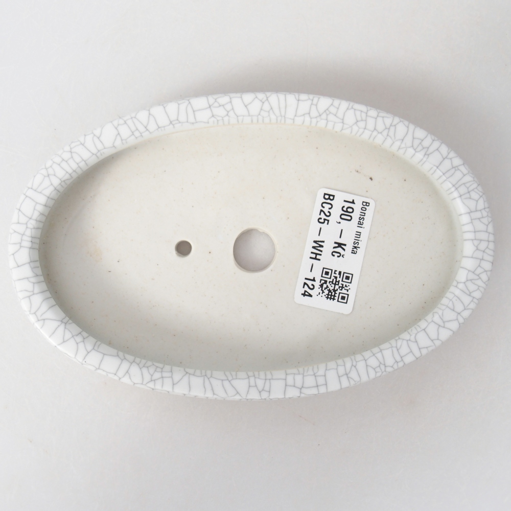 Cuenco bonsái de cerámica 15,5 x 10 x 2 cm, color raku