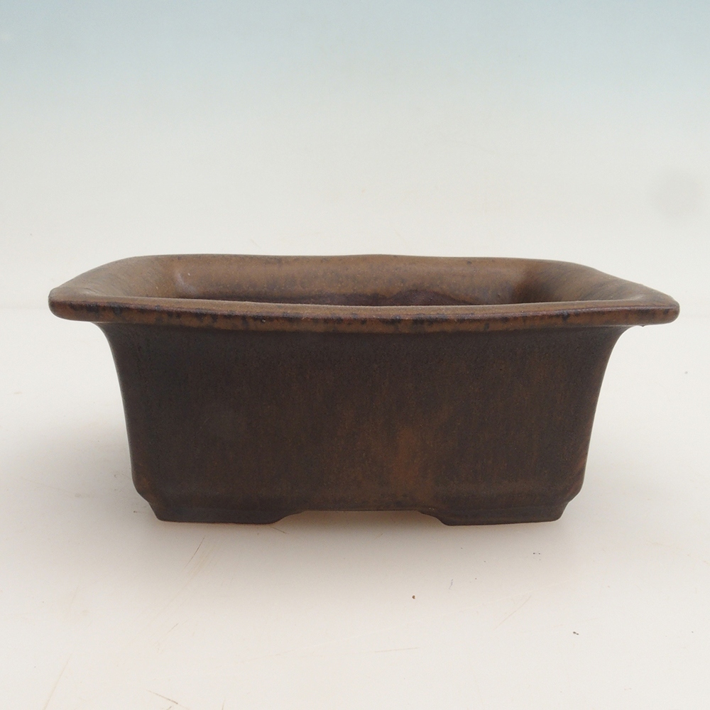 Cuenco bonsái + platillo H11 - 11,5 x 10 x 4 cm - marrón