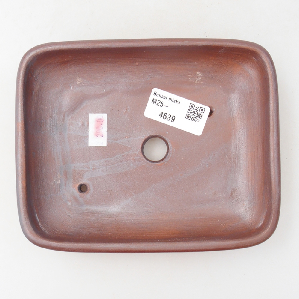 Cuenco bonsái de cerámica 17 x 13,5 x 3,5 cm, color metálico