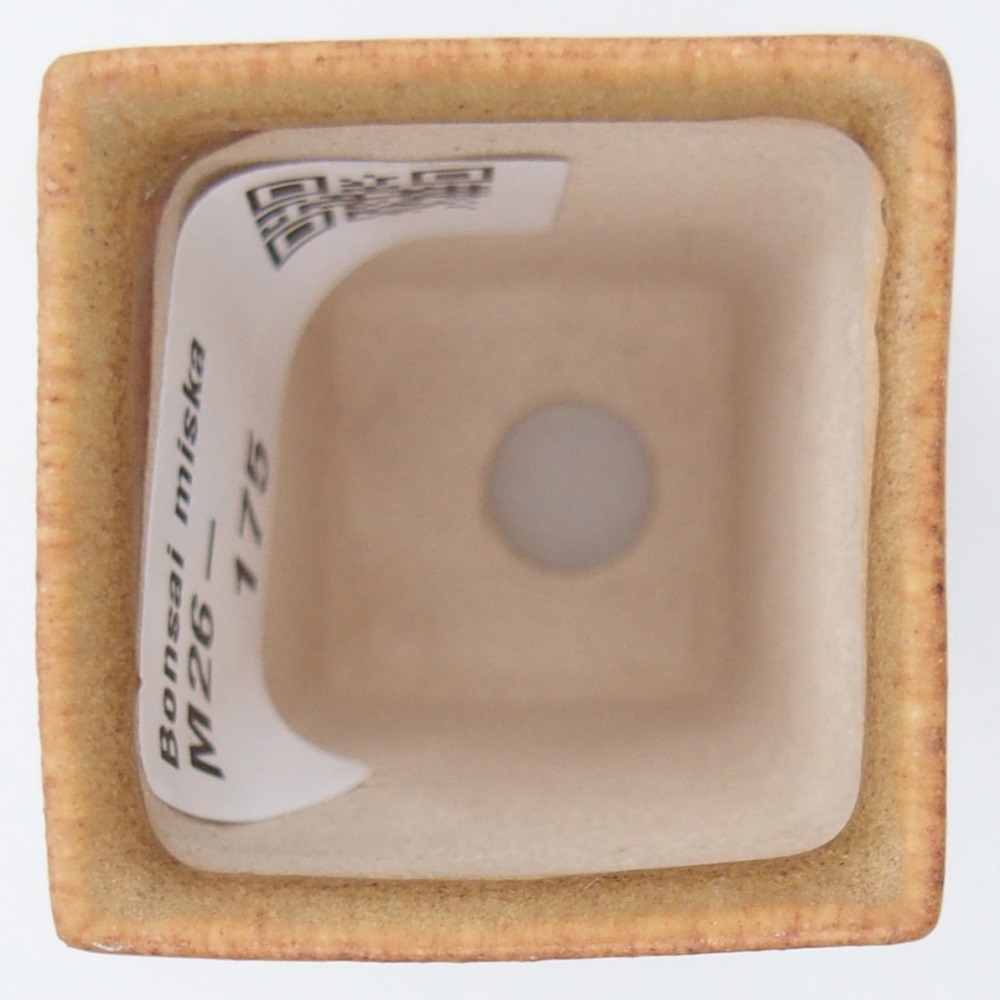 Mini cuenco bonsái 3,5 x 3,5 x 5 cm, marrón