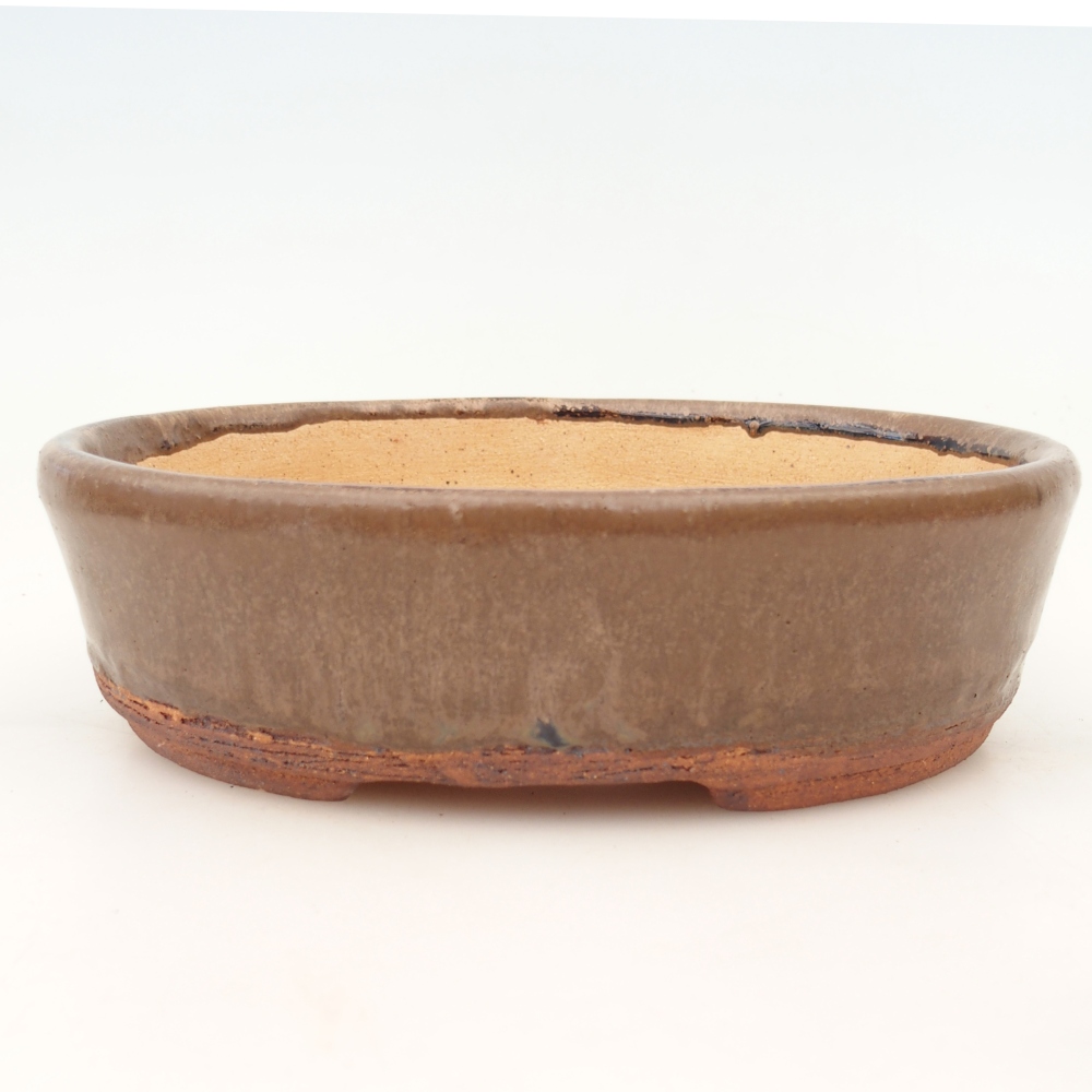Cuenco bonsái 19,5 x 16 x 6 cm , color marrón