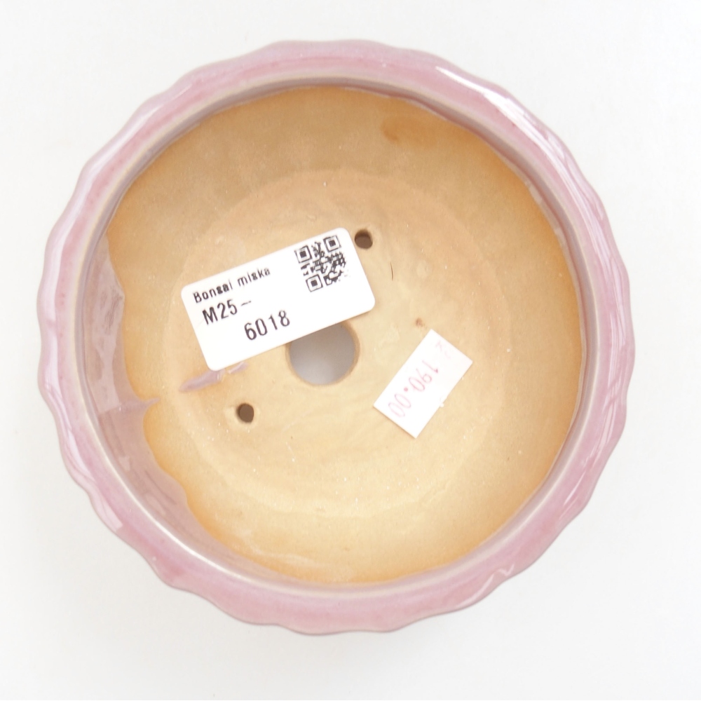 Cuenco bonsái de cerámica 22 x 17 x 5 cm, verde