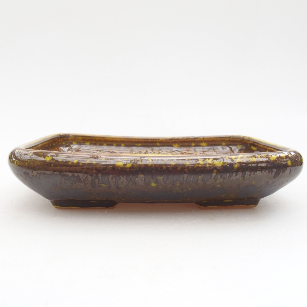 Cuenco bonsái de cerámica 17 x 14 x 3,5 cm, amarillo