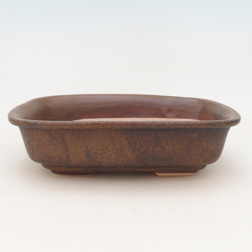 Cuenco bonsái H02 - 19 x 13 x 5 cm - marrón