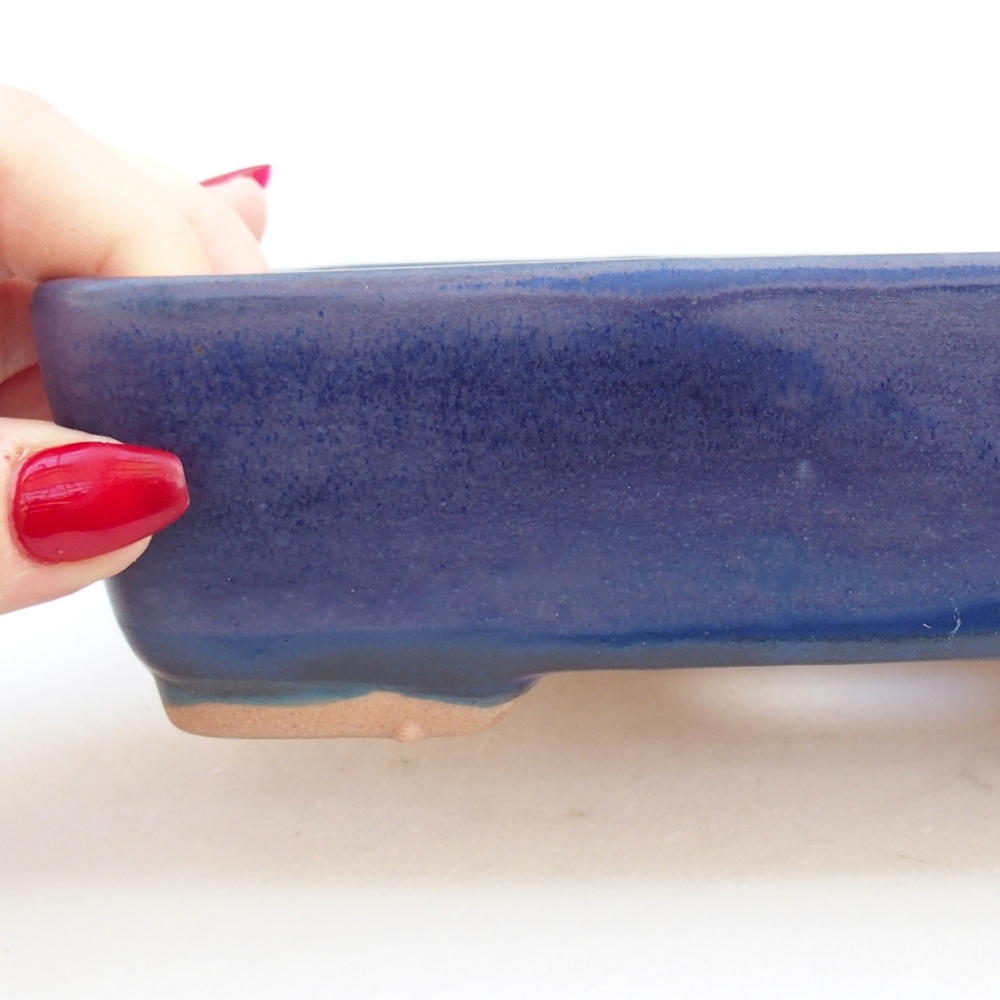 Cuenco bonsái de cerámica 18,5 x 13,5 x 3,5 cm, color azul