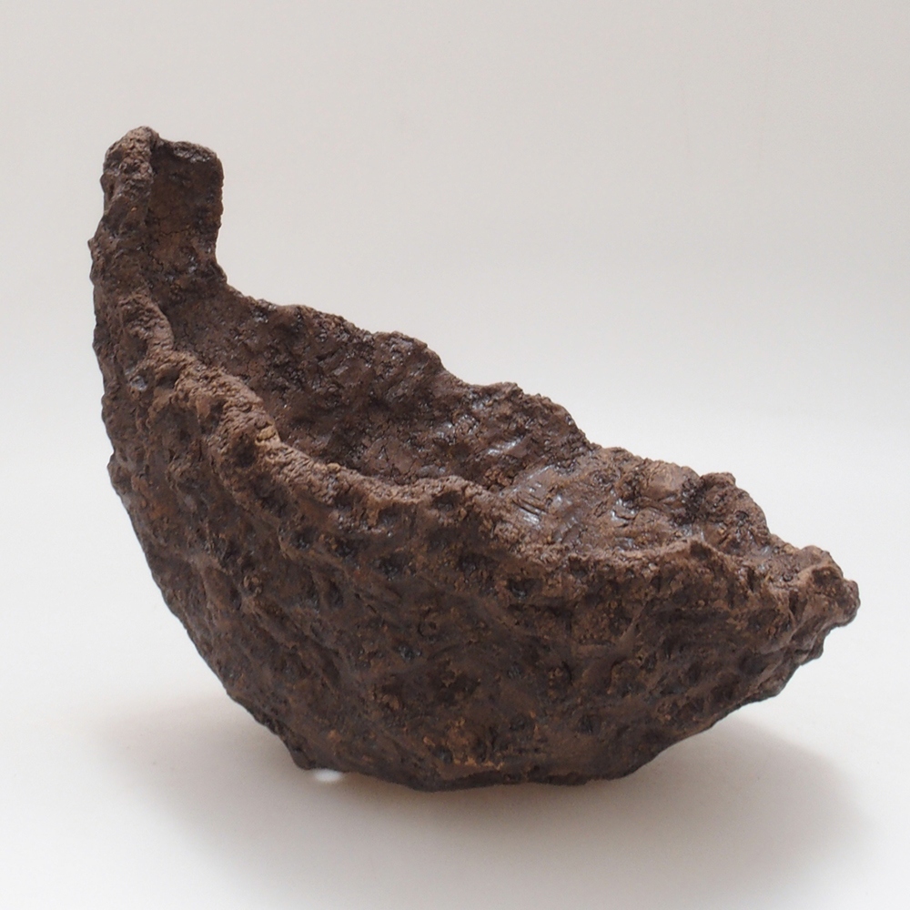 Concha de cerámica 17,5 x 16 x 17,5 cm , color marrón