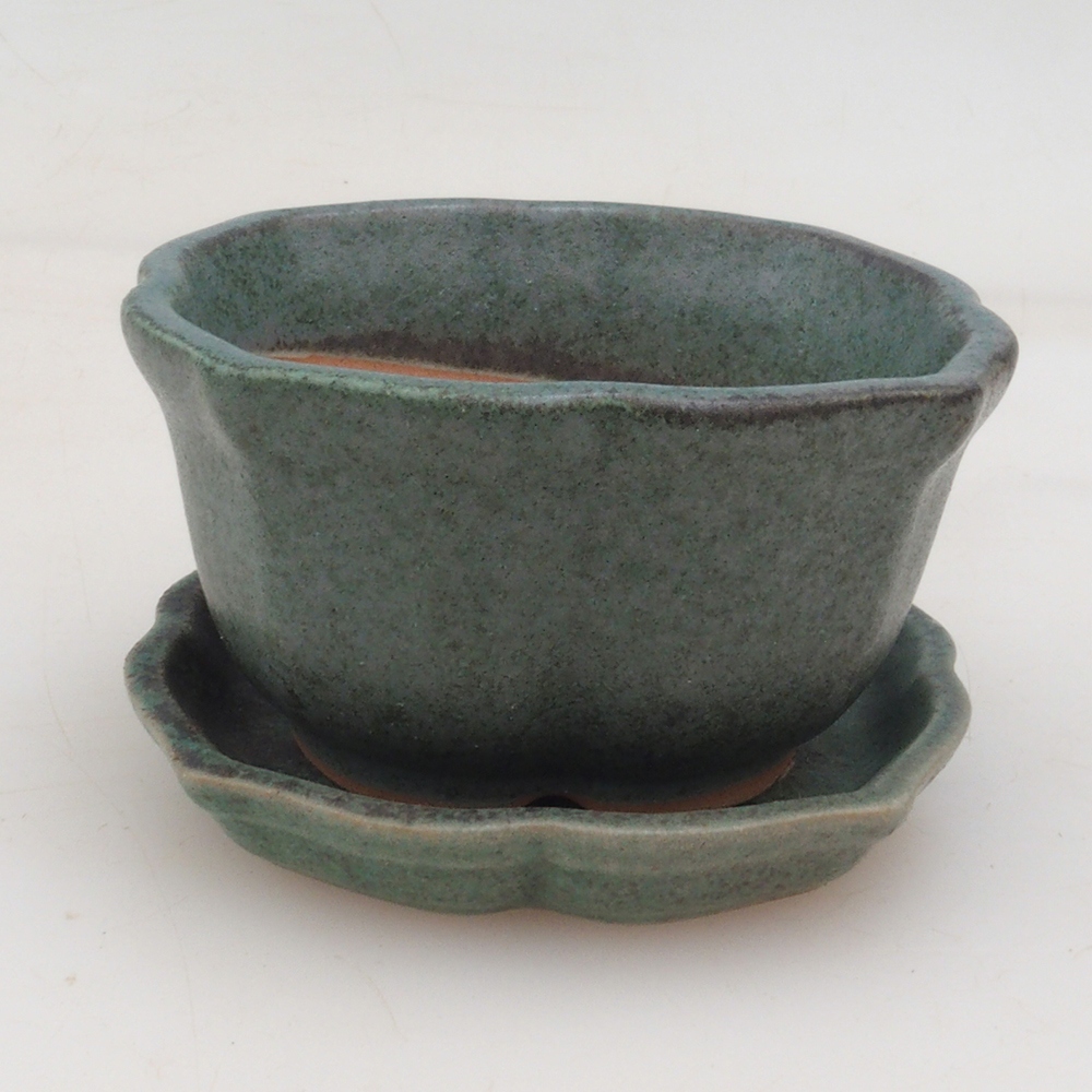 Bonsai cuenco + platillo H95 - verde