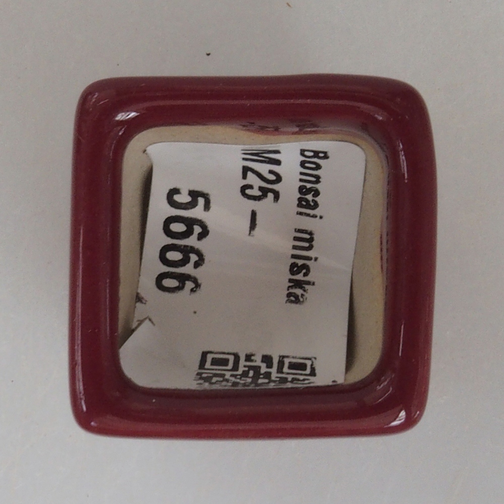 Mini cuenco bonsái 3 x 3 x 3,5 cm, burdeos