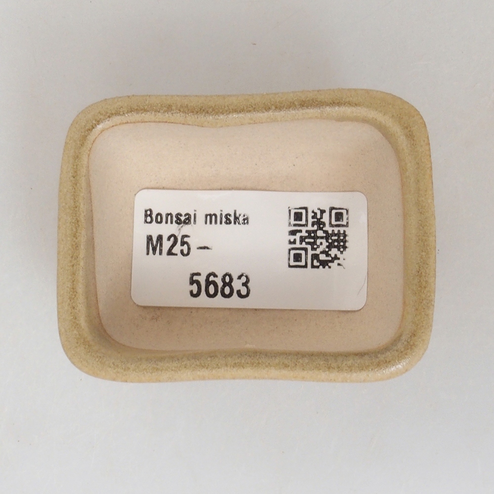 Cuenco mini bonsái 5,5 x 4,5 x 2,5 cm, marrón