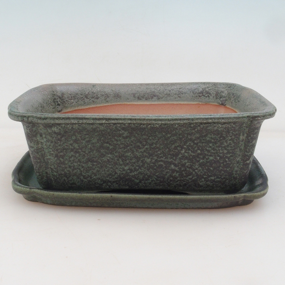 Bonsai cuenco + platillo H50 - verde