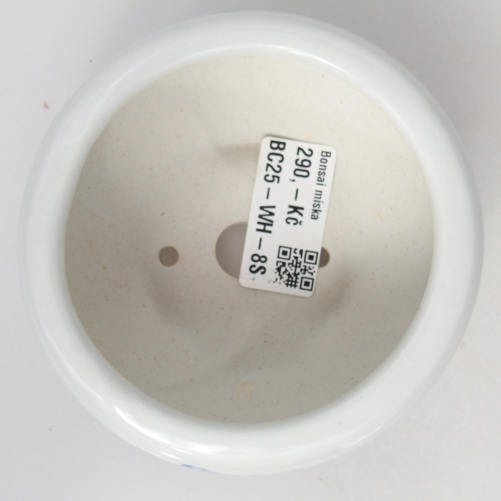 Cuenco bonsái de cerámica 10 x 10 x 5 cm, color blanco