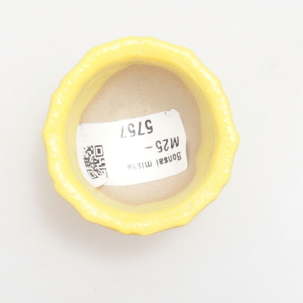 Cuenco bonsái de cerámica 5 x 5 x 3 cm, amarillo