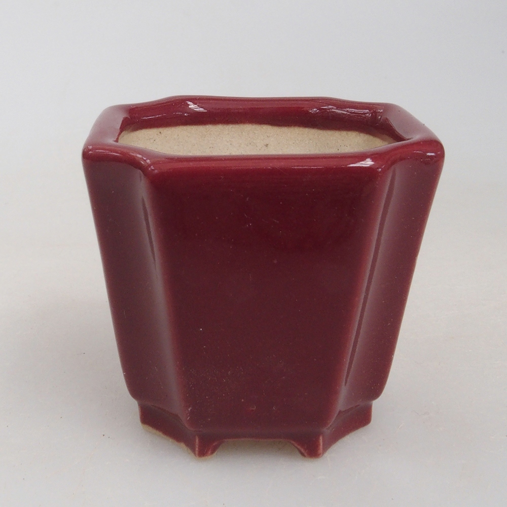 Cuenco mini bonsái 4 x 4 x 4 cm, burdeos