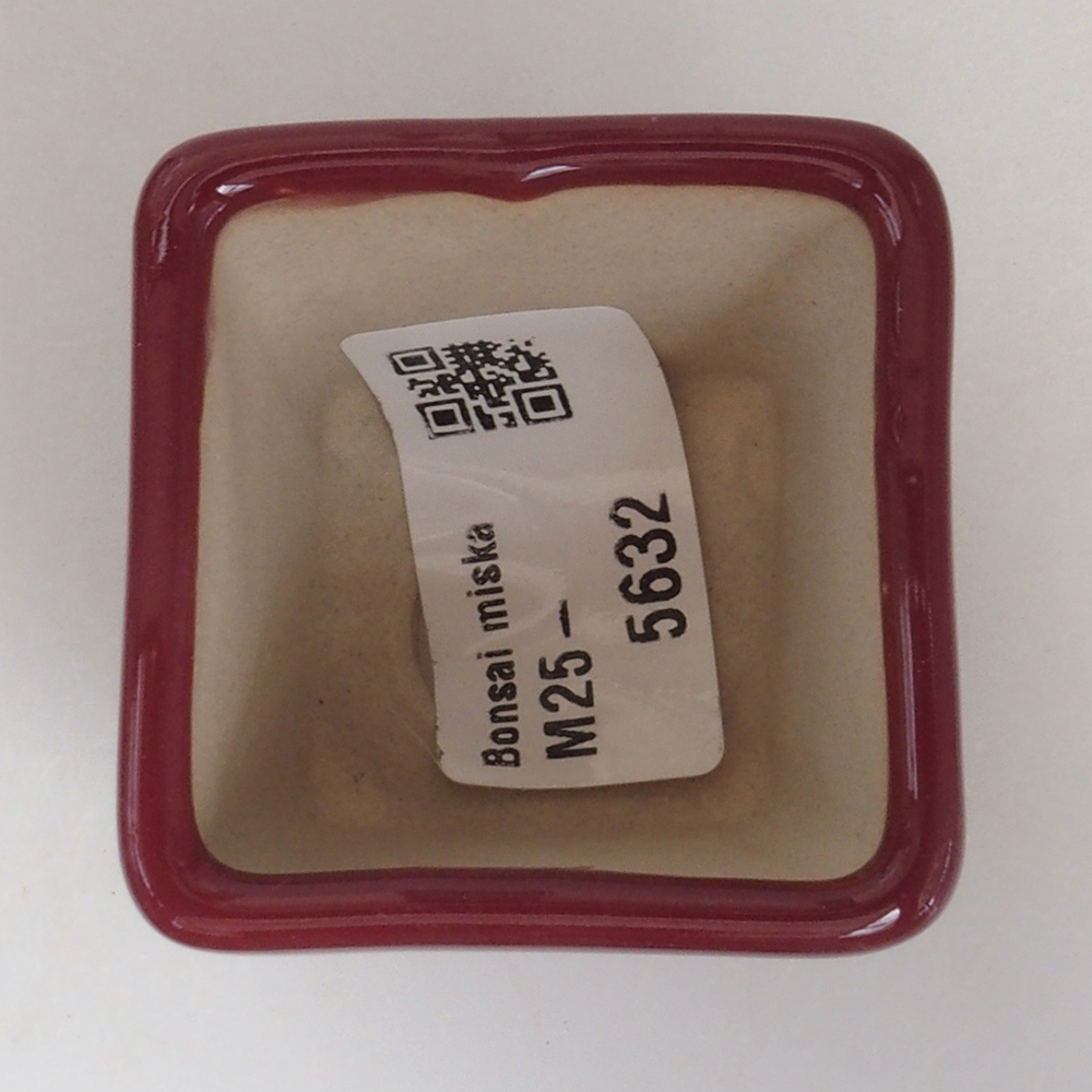 Cuenco mini bonsái 4,5 x 4,5 x 4,5 cm, burdeos