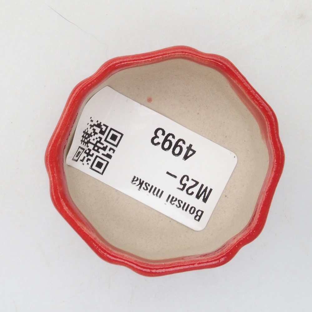 Cuenco mini bonsái 4,5 x 4,5 x 2 cm, color rojo