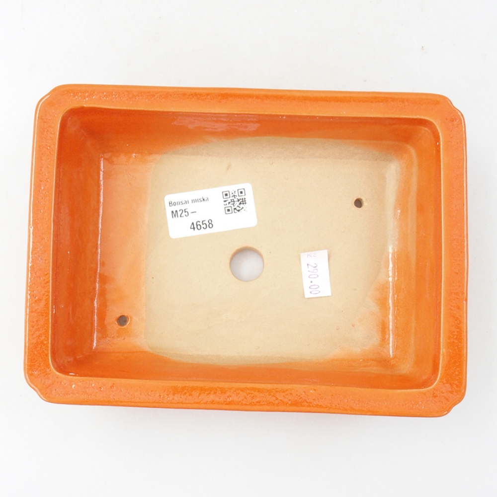 Cuenco bonsái de cerámica 17,5 x 13 x 4 cm, naranja