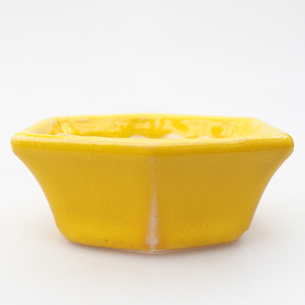 Cuenco mini bonsái 6 x 5,5 x 2,5 cm, amarillo