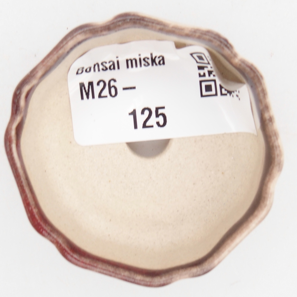 Cuenco mini bonsái 4,5 x 4,5 x 2 cm, color rojo