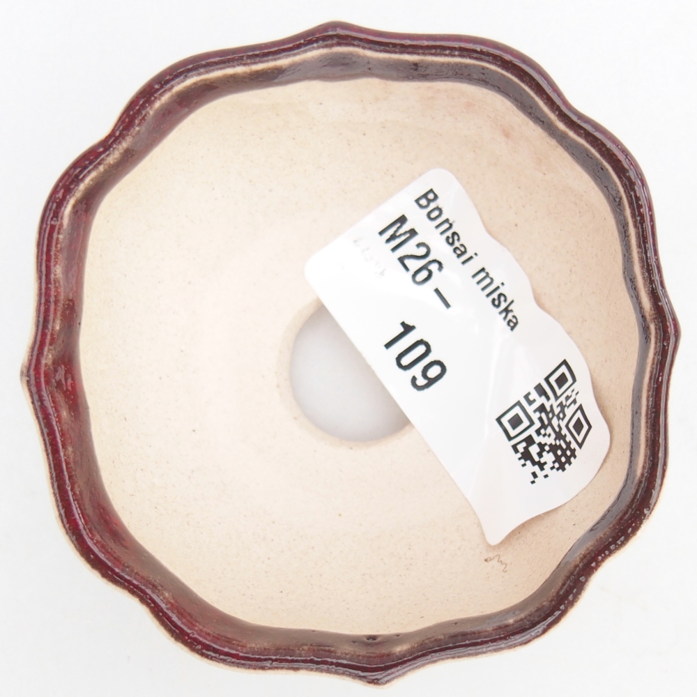 Cuenco mini bonsái 6 x 6 x 3 cm, color rojo