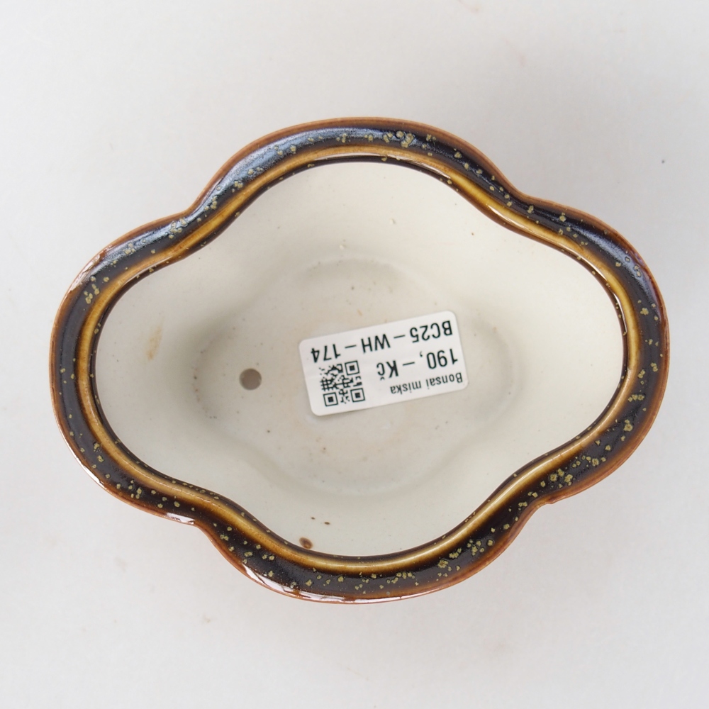 Cuenco bonsái de cerámica 12,5 x 10 x 5,5 cm, amarillo