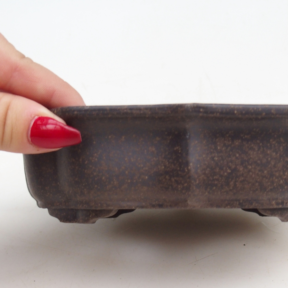 Cuenco bonsái de cerámica 16,5 x 13 x 4 cm, color ocre parduzco