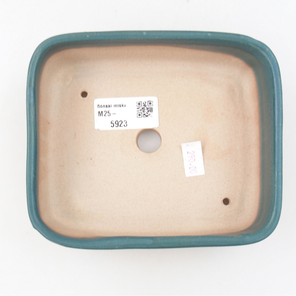 Cuenco bonsái de cerámica 22 x 17 x 5 cm, verde