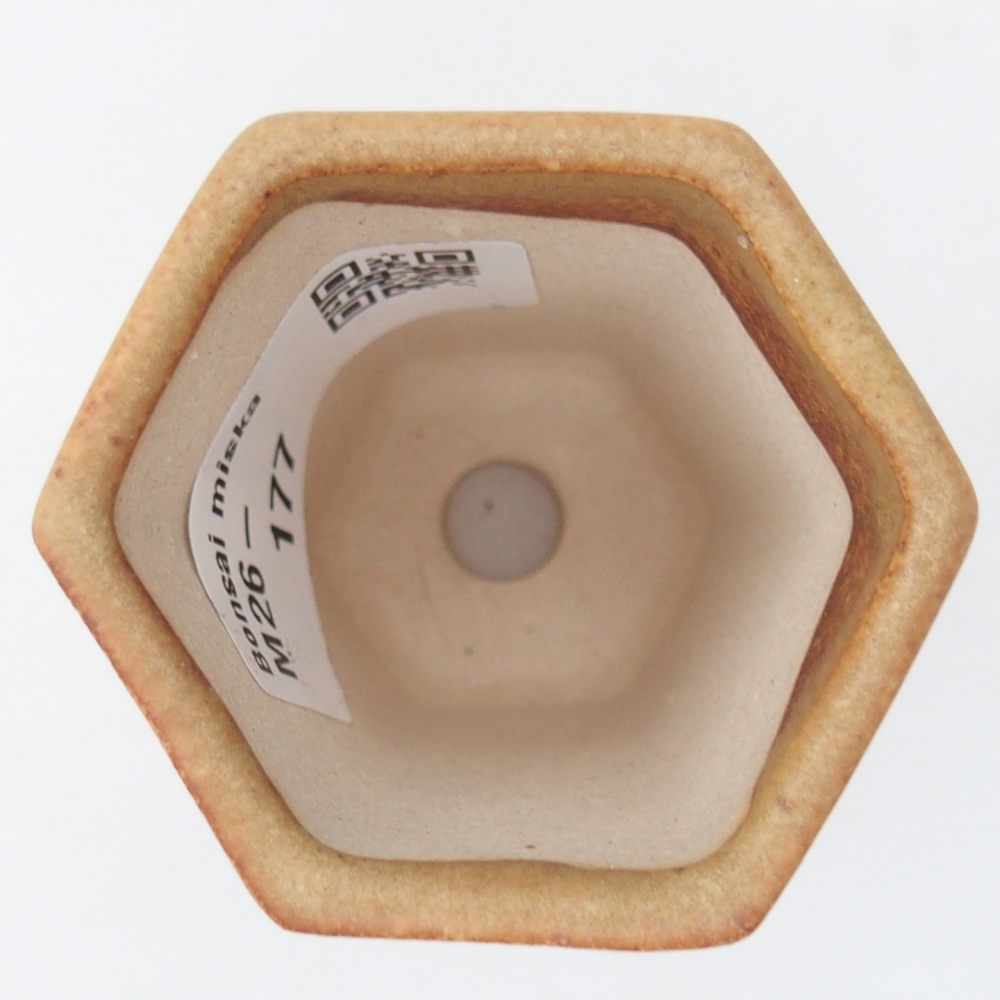 Cuenco mini bonsái 5 x 4,5 x 6,5 cm, marrón