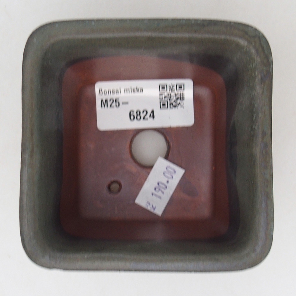 Cuenco bonsái de cerámica 8,5 x 8,5 x 5 cm, gris