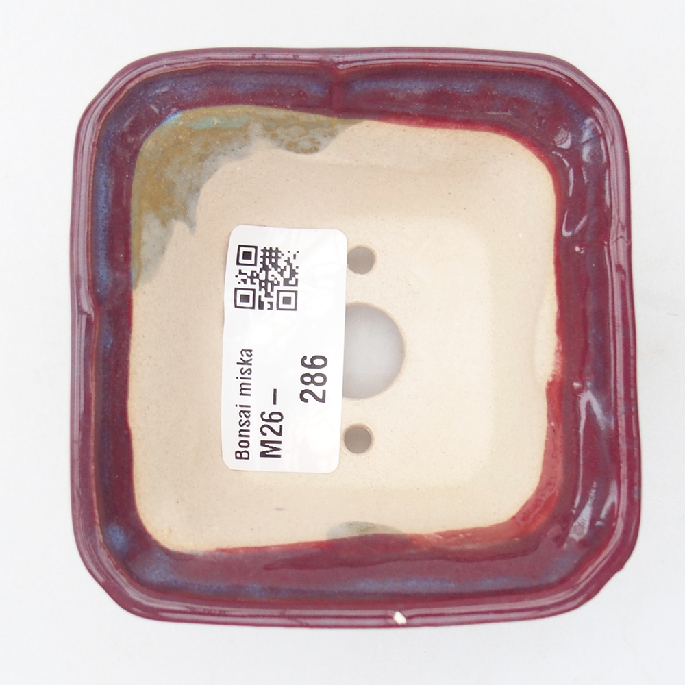 Cuenco mini bonsái 7,5 x 7,5 x 4,5 cm, burdeos