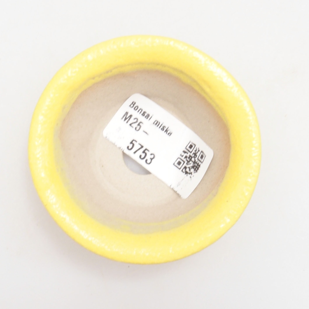Cuenco bonsái de cerámica 7 x 7 x 2,5 cm, amarillo