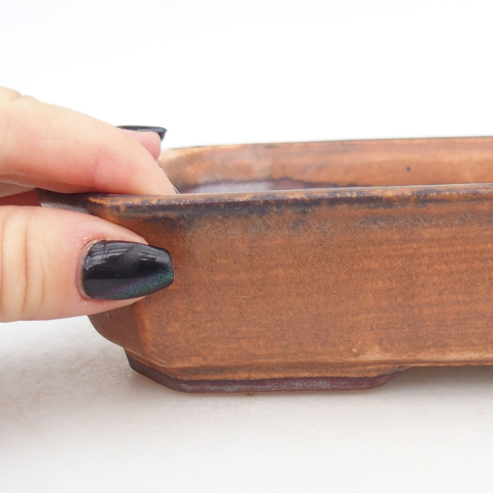 Cuenco bonsái de cerámica 18,5 x 13,5 x 4,5 cm, marrón