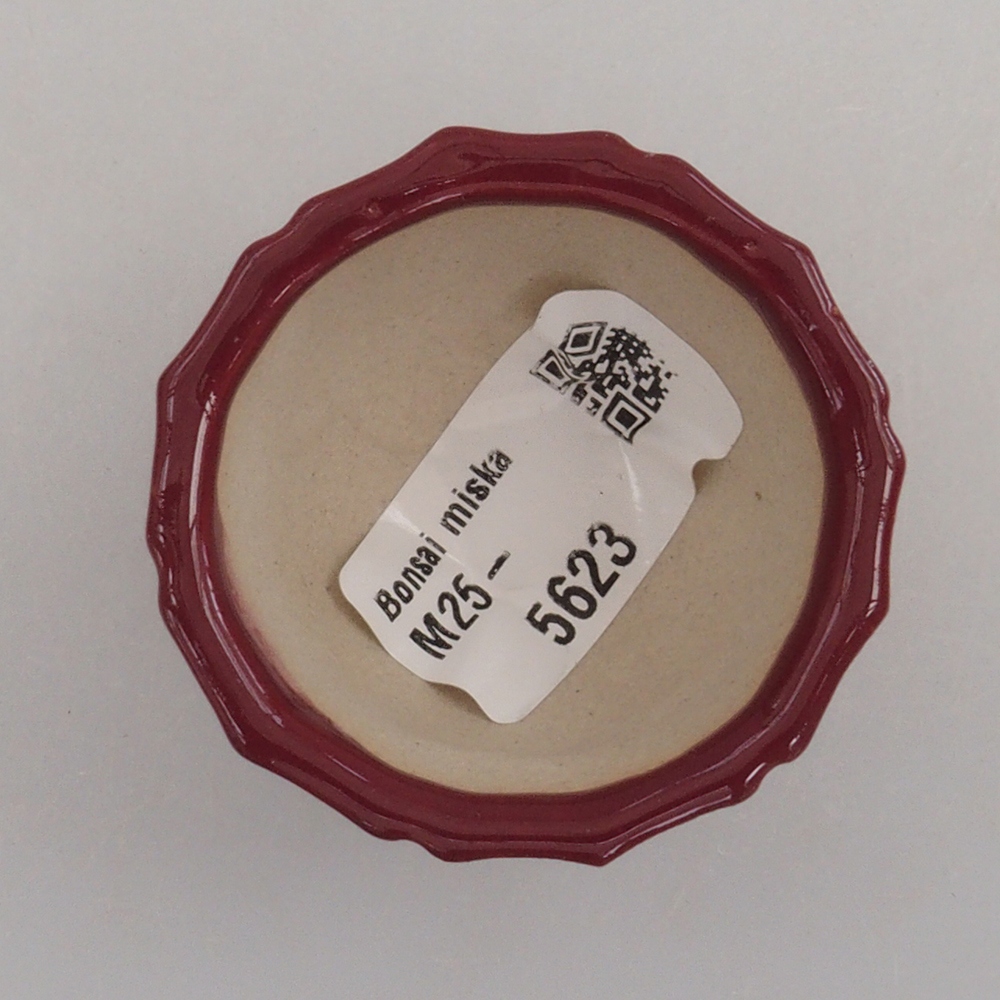 Mini cuenco bonsái 5 x 5 x 3 cm, burdeos