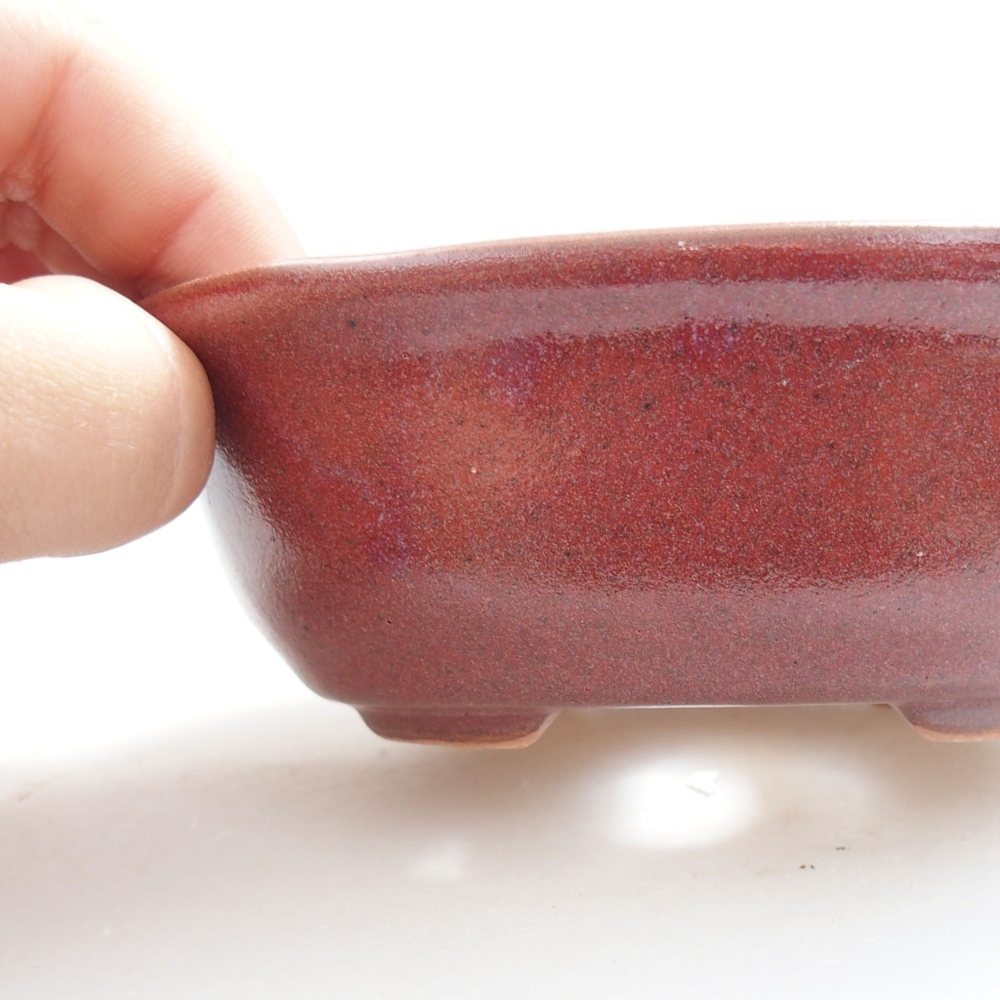 Cuenco bonsái de cerámica 22 x 17 x 5 cm, verde