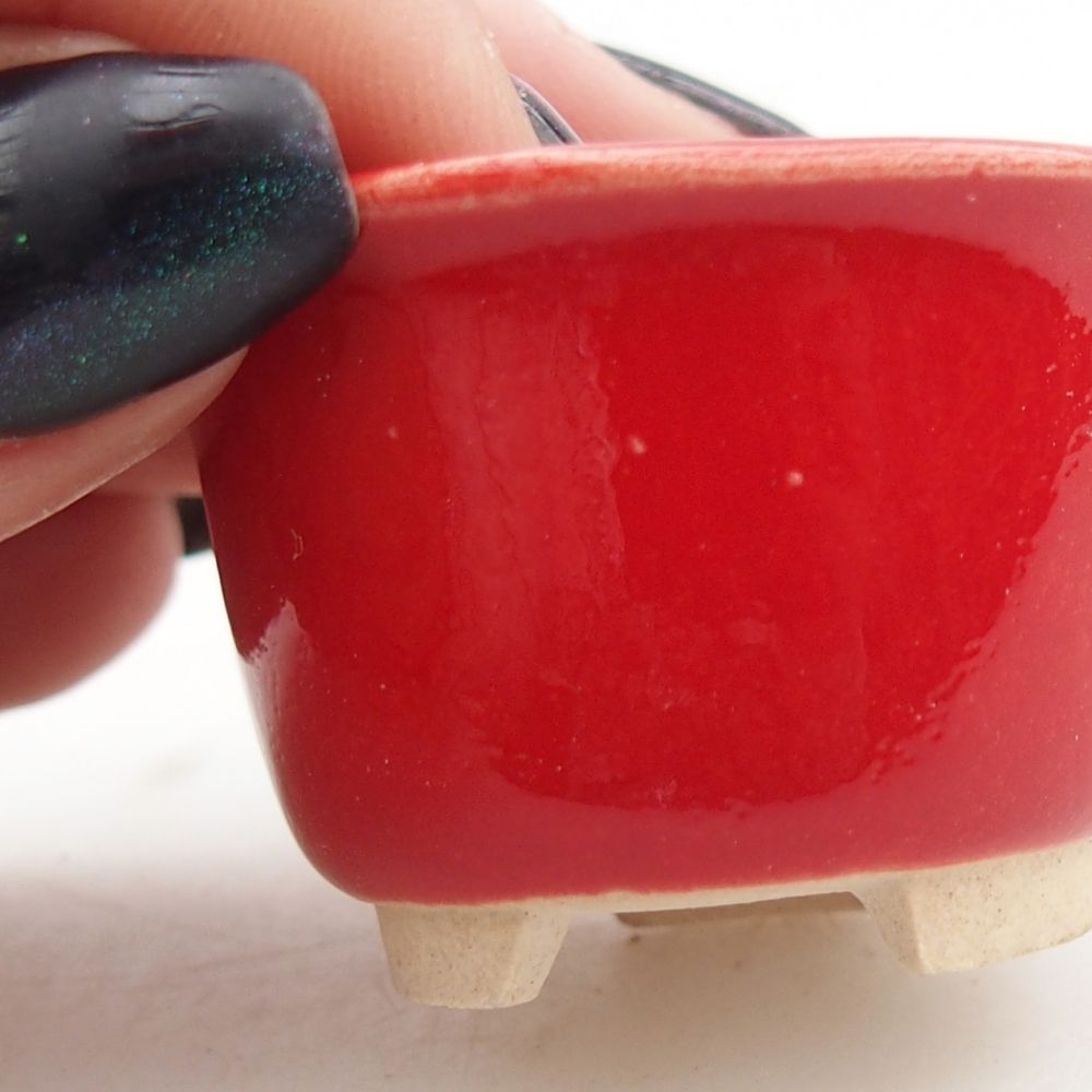 Cuenco mini bonsái 4 x 4 x 2,5 cm, color rojo