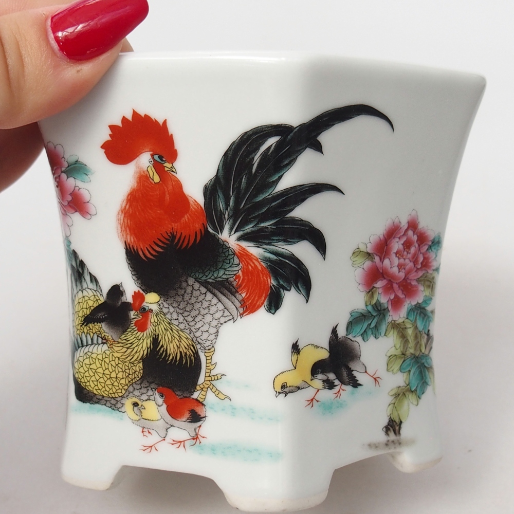 Cuenco bonsái de cerámica 10,5 x 9,5 x 9 cm, color blanco